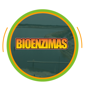 Inicio Bioenzimas