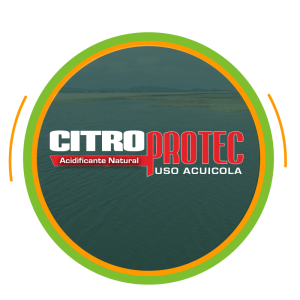 Inicio marcas agrivenza3