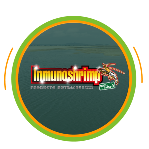 Inicio marcas agrivenza4