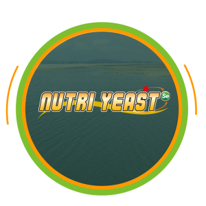 Inicio marcas agrivenza5