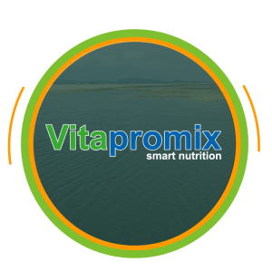 Inicio marcas agrivenza8