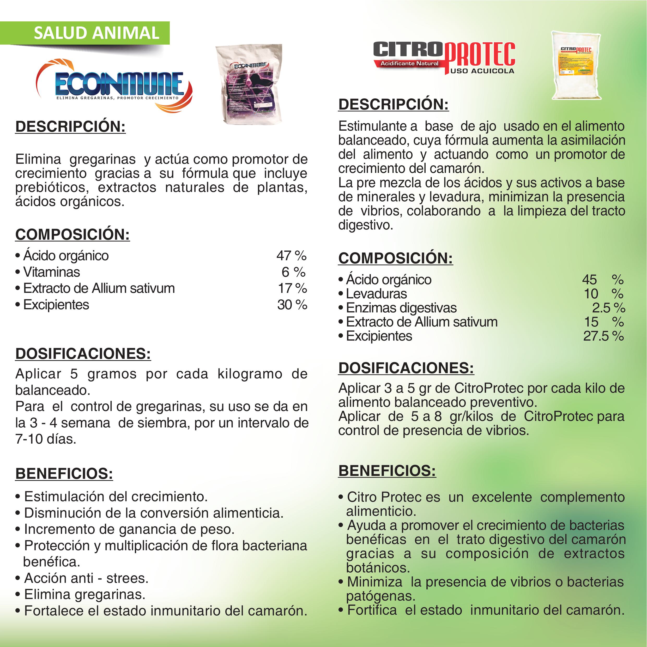 folleto agrinveza imágenes 4