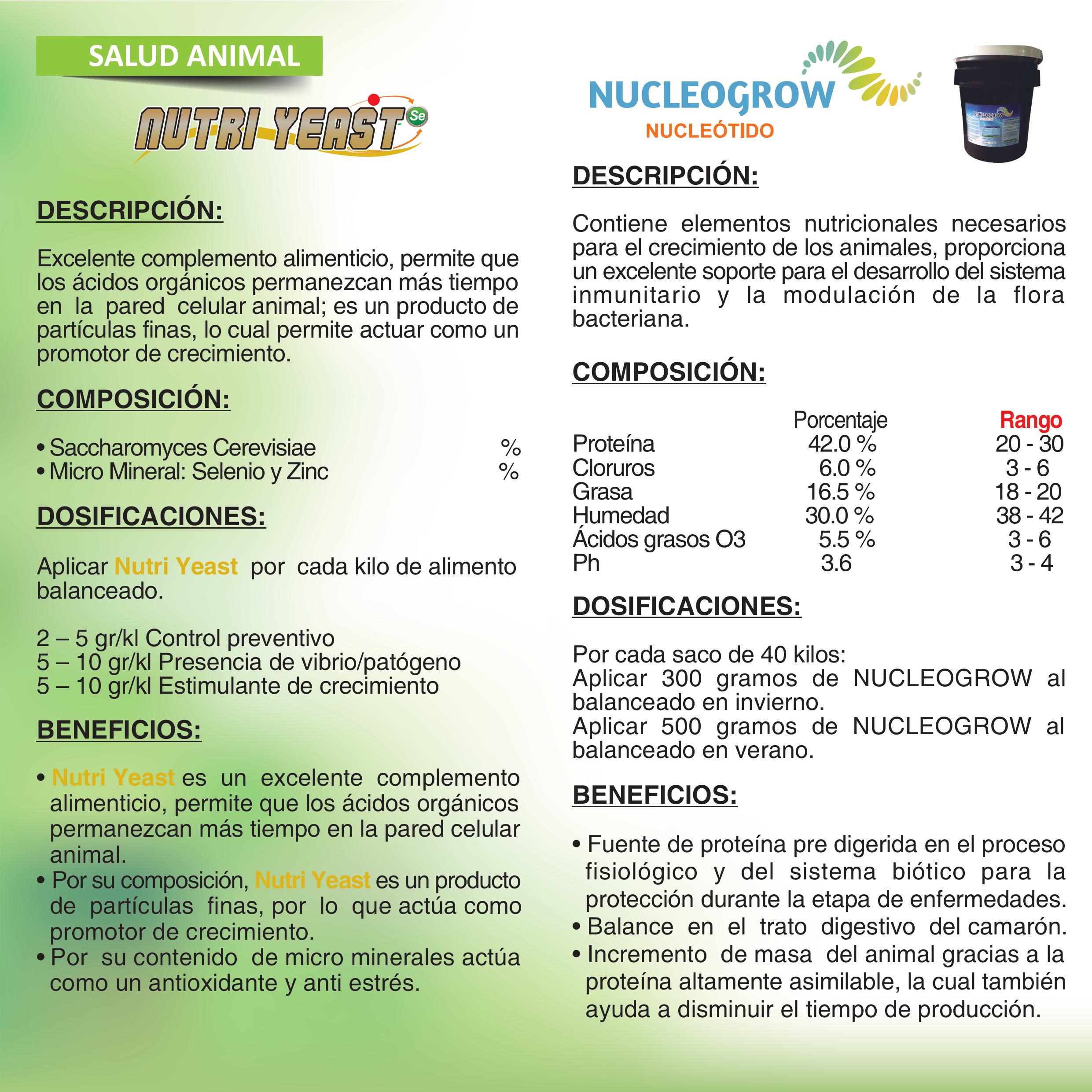 folleto agrinveza imágenes 5